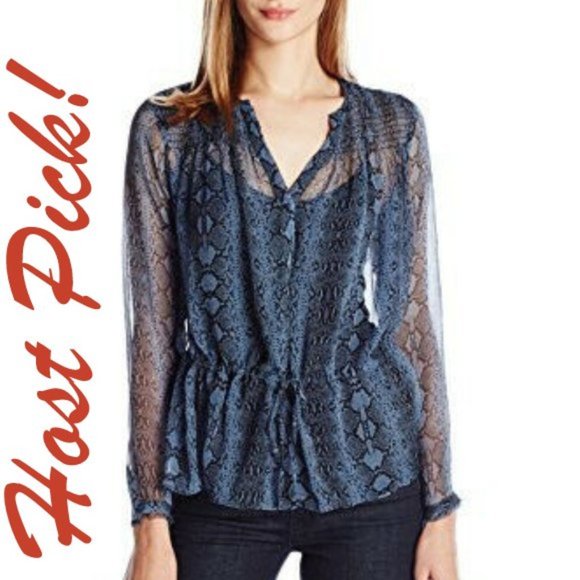 Rebecca Taylor Tops - Rebecca Taylor New SILK Drawstring Blouse Top Long Sleeves Sheer Blue Womens🎉HP